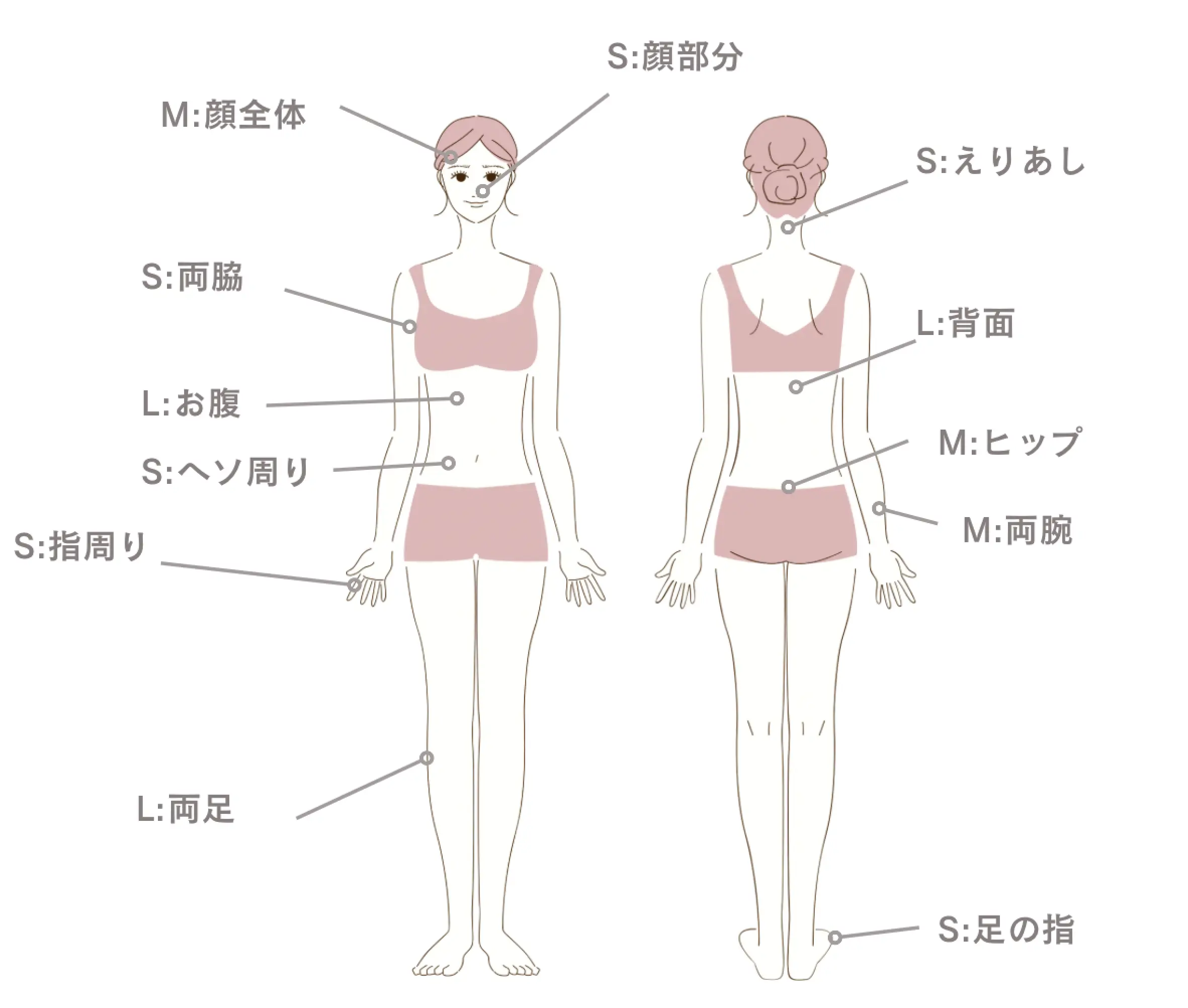 脱毛施術箇所